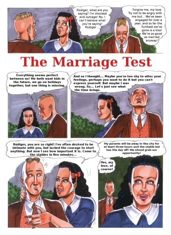 The Marriage Test, From SexotiC-Comic #11 cover