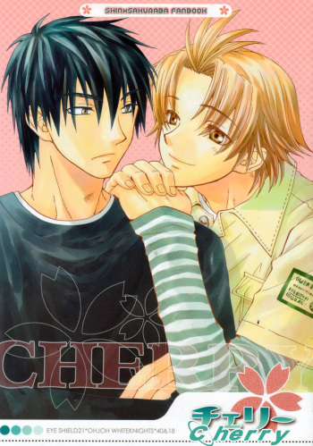 CHERRY cover