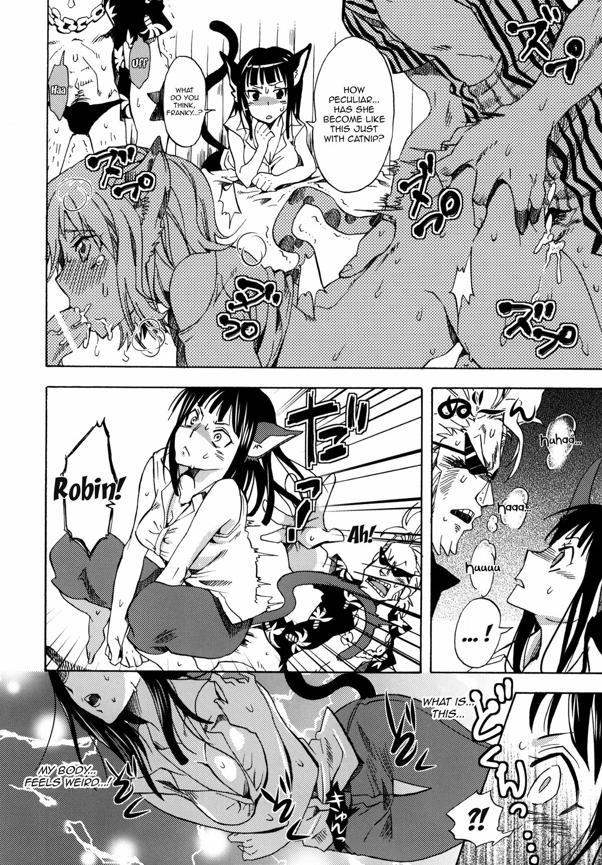 Neko Neko no Mi!    =Ero Manga Girls &amp; maipantsu= page 5 full