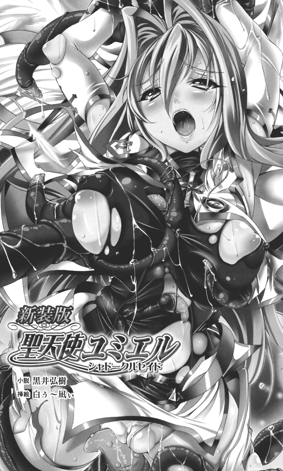 Shinsouban Seitenshi Yumiel Shadow Crusade | Holy Angel Yumiel: the Shadow Crusade, New Edition page 4 full
