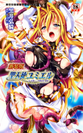 Shinsouban Seitenshi Yumiel Shadow Crusade | Holy Angel Yumiel: the Shadow Crusade, New Edition cover