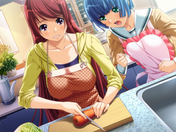 Apron Collection 1 cover