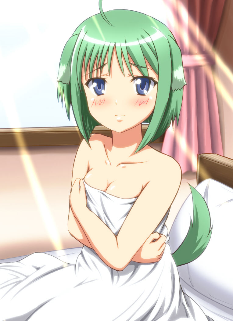 Dog Days Collection page 2 full