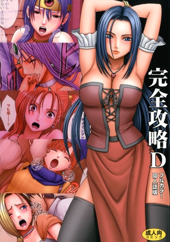 Kanzen Kouryaku D cover