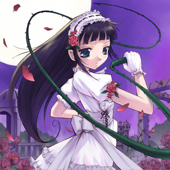 Akiyoshi Yoshiaki  Image set cover