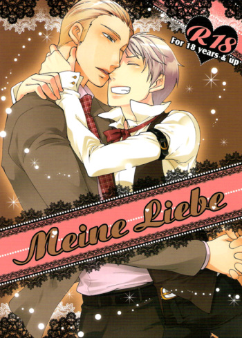 Meine Liebe cover