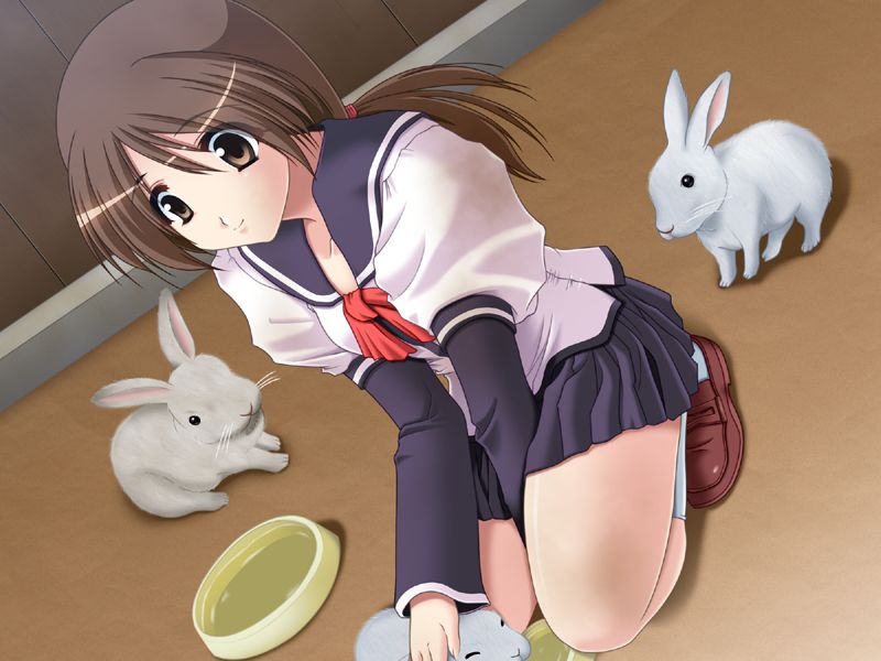 Unbalance ~ Kanojo no Kokoro wa Ubaenai? ~ page 5 full