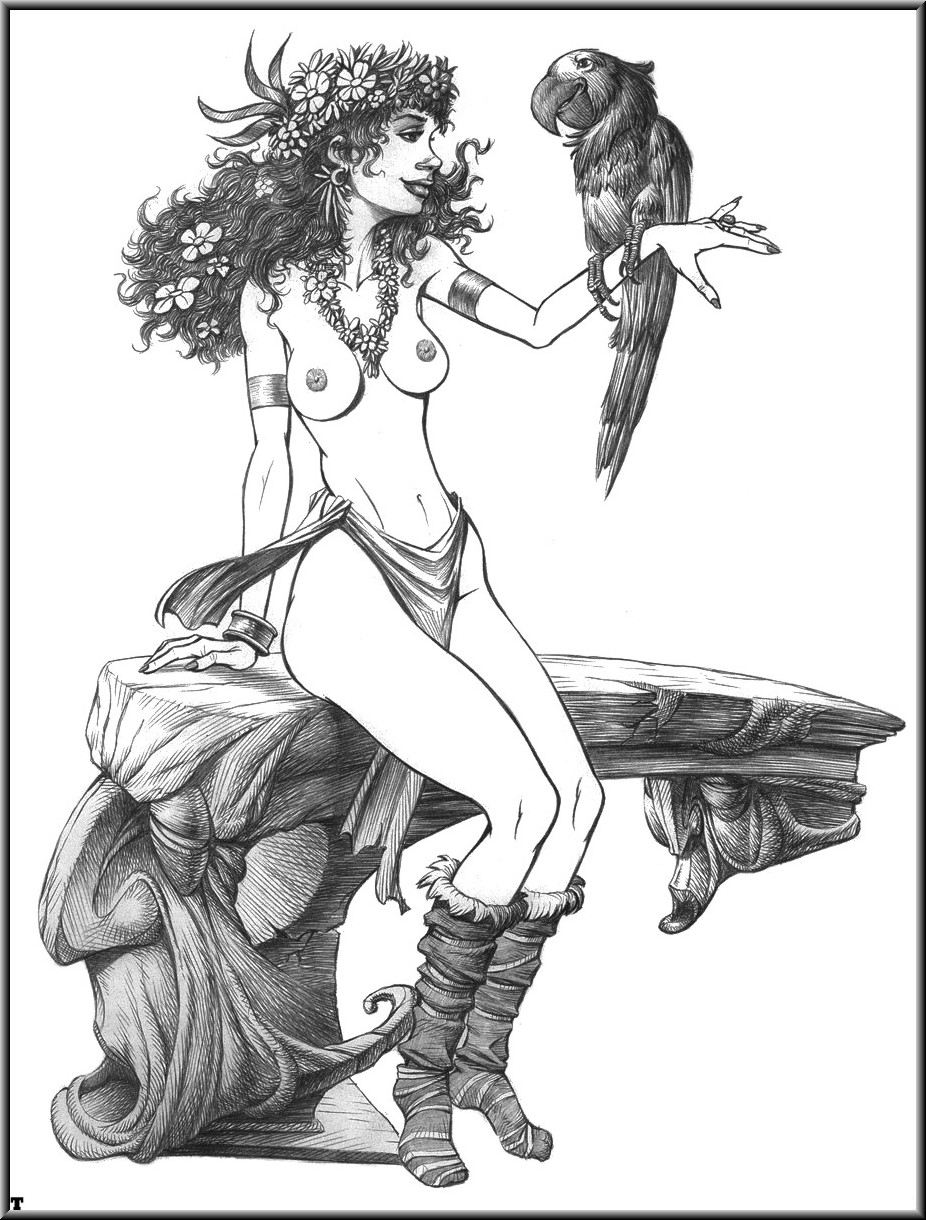 EROTIC ART COLLECTOR 0038 AMADEU page 7 full
