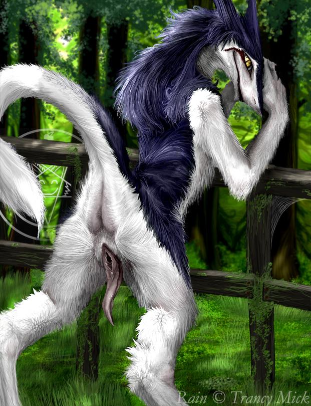Rain_Silves Sergal page 8 full