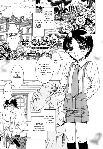 Princess Factory cover