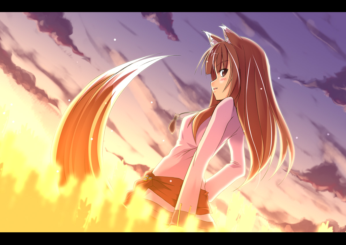 Spice and Wolf - Holo page 8 full