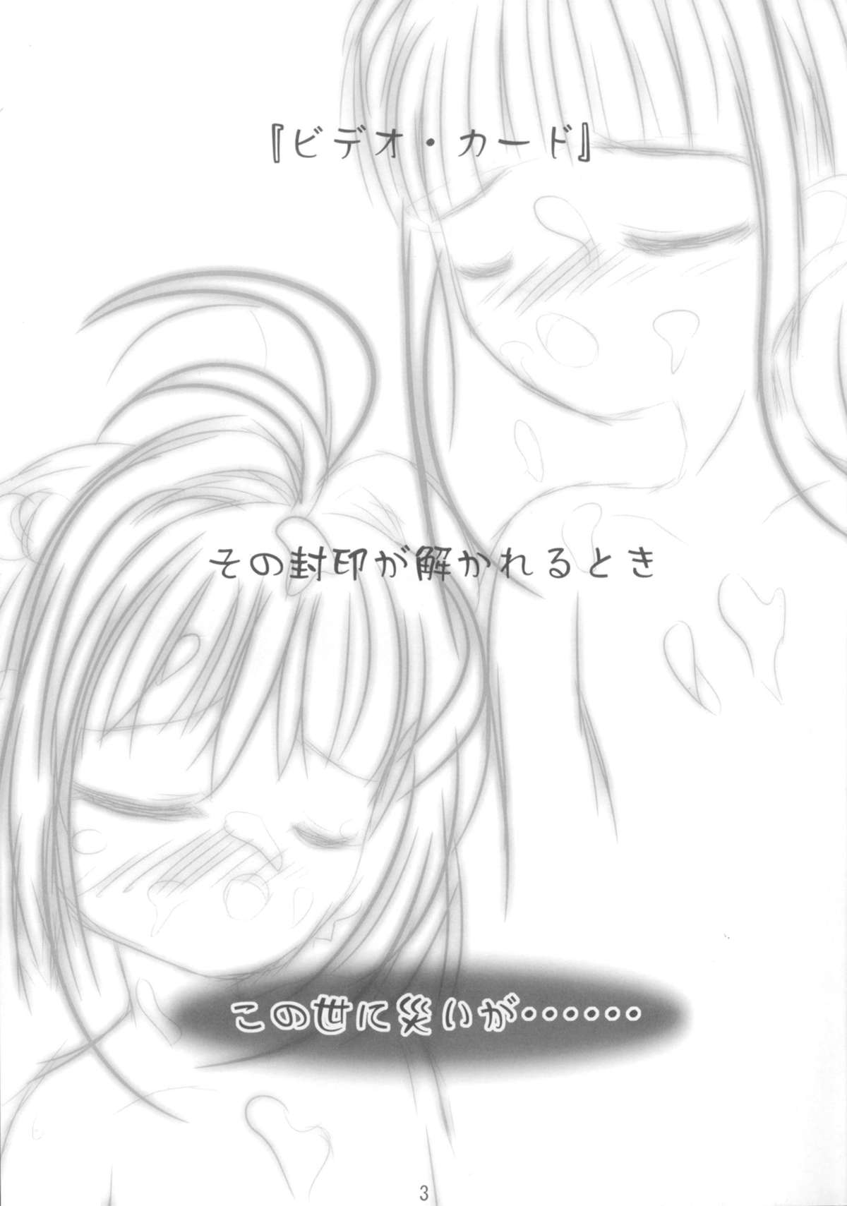 Video Captor TOMOYO 1 page 4 full