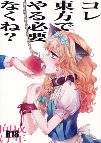 Kore Touhou de Yaru Hitsuyou Naku ne? | Is it really necessary to do this in Touhou cover