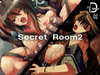 Secret room 2 cover
