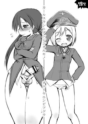 Karlsland Gunjin Tarumono cover