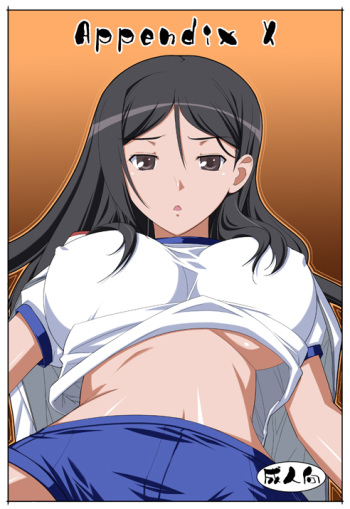 APPENDIX X cover