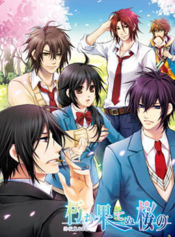 Kuchihatenu Sakura no cover