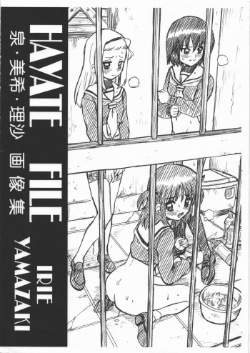 HAYATE FILE - Izumi Miki Risa Gazoushuu cover