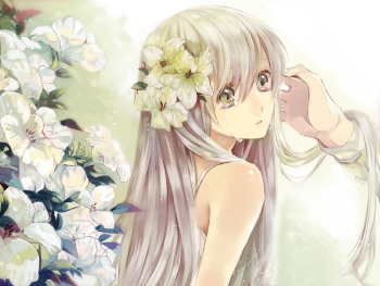 Tears cover