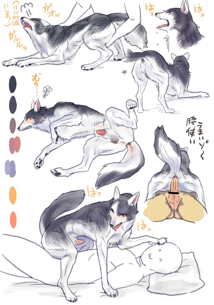 3 page 3 full