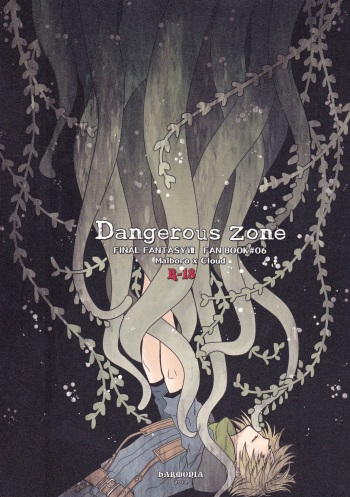 Dangerous zone cover