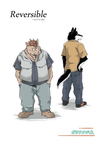 Reversible -Buta to Inu- cover
