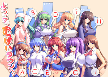 Oppai Baka -Oppai Igai wa Mitomenai!!- DVDPG cover