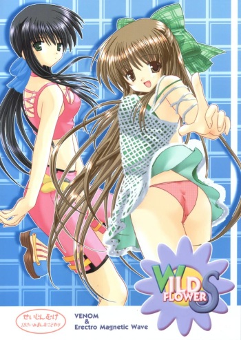 WILD FLOWERS cover