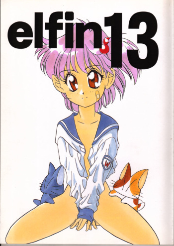 Elfin 13 cover