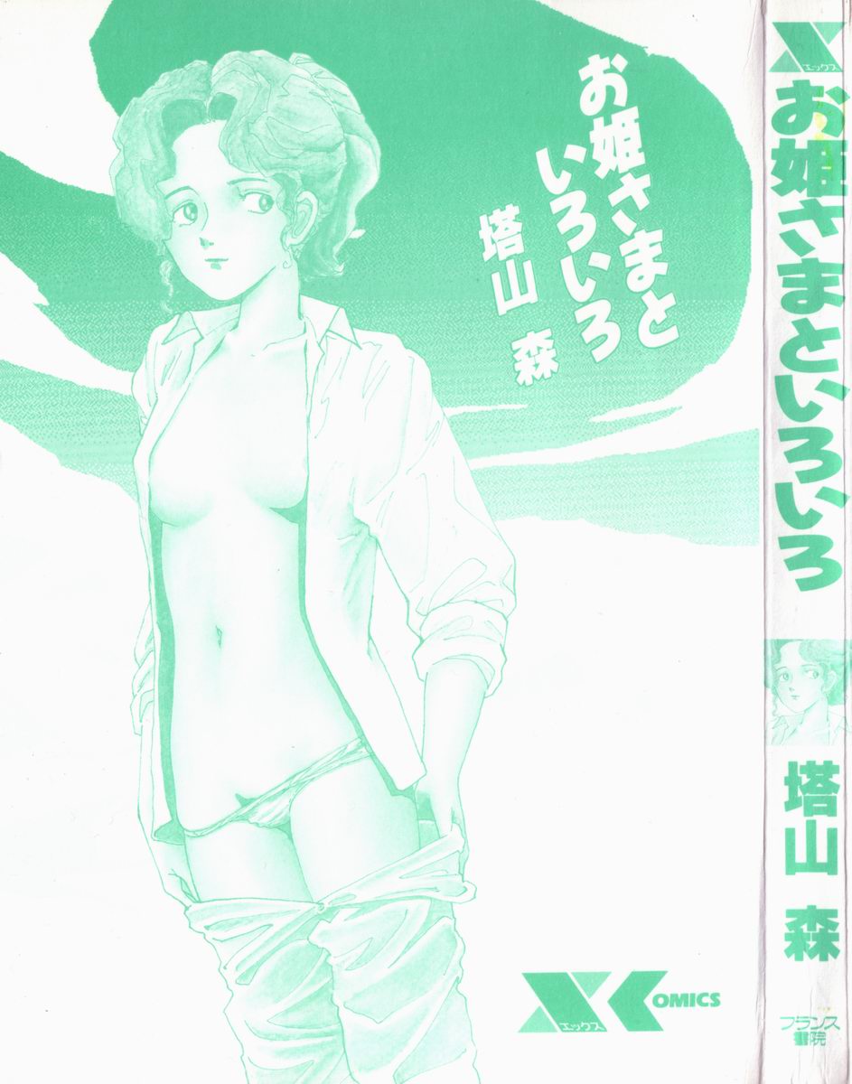 Ohime-sama to Iroiro page 3 full
