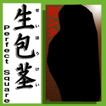 Seihoukei - Perfect Square cover
