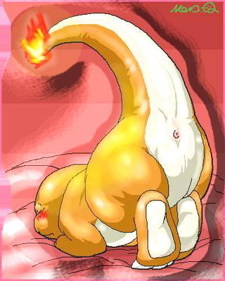 3DS Pok&egrave;mon page 4 full