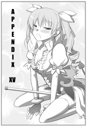 APPENDIX XV cover
