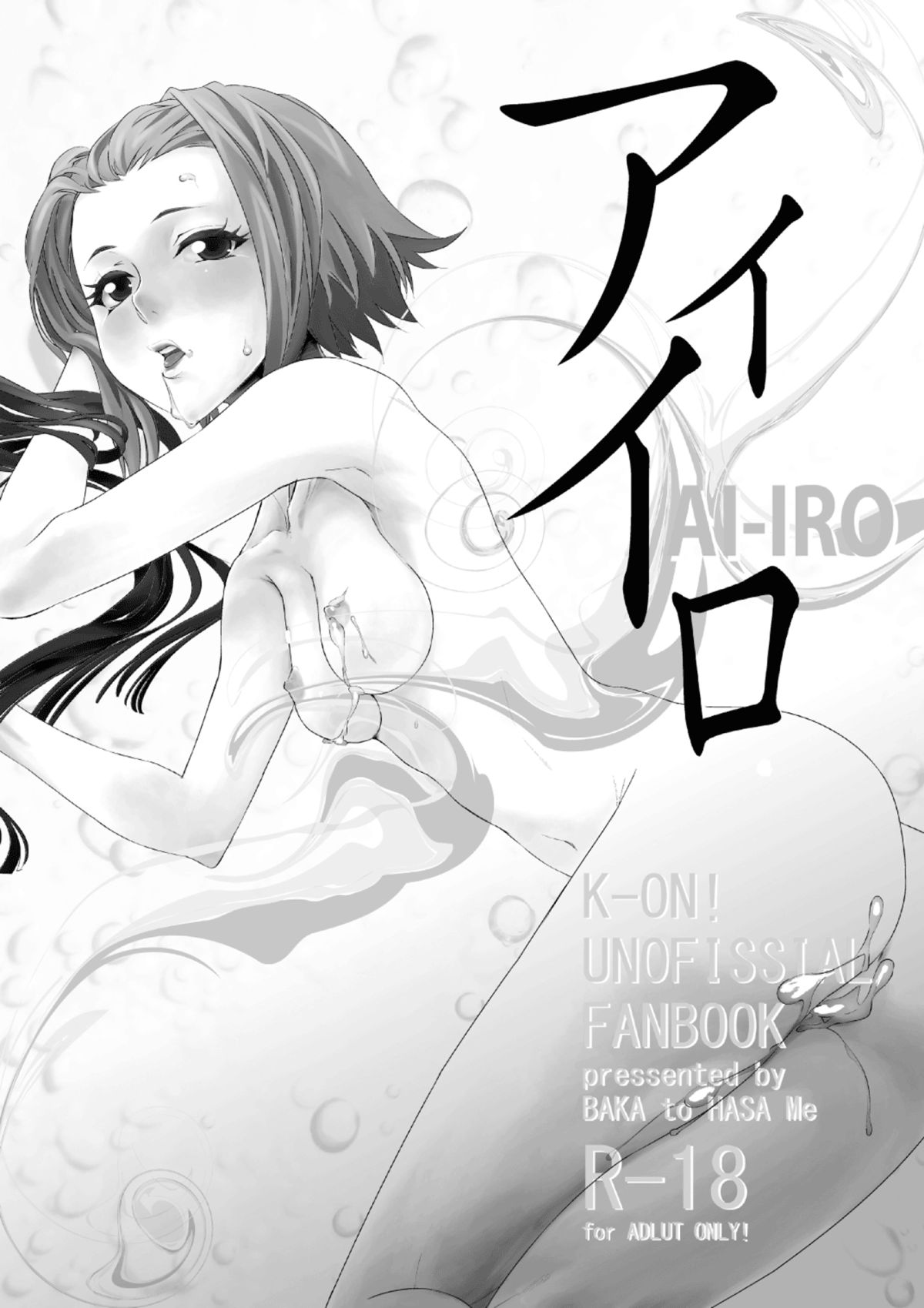 AI-IRO page 2 full