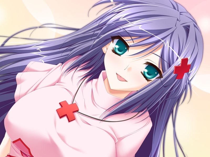 Oneesama wa Hokeni -Otouto ga Sukisugite, Nakisakebu Hodo Ijimetakunacchau no- page 9 full