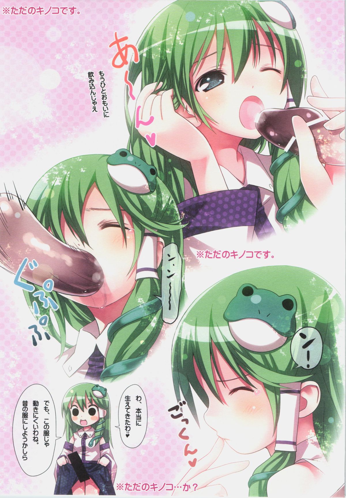 KICHIKU MIKO SANAE ToHo Seirensen Kouryakuhon page 5 full