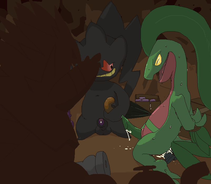 Pokemon Random part 1 page 2 full