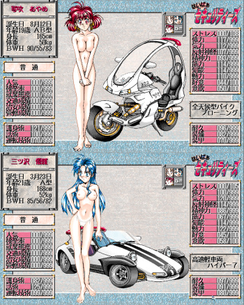 Hyper Securities: Kinmirai Bishoujo Police Nisshi cover