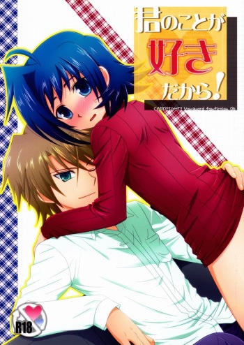 Kimi no Koto ga Suki dakara! cover
