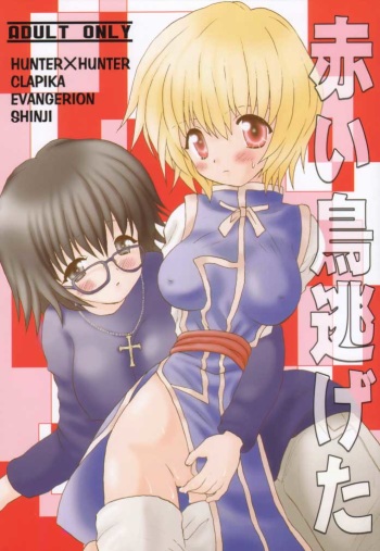Akai Tori Nigeta cover