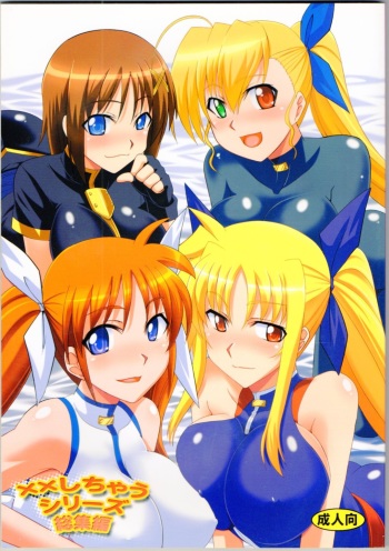 XX Shichau Series Soushuuhen cover