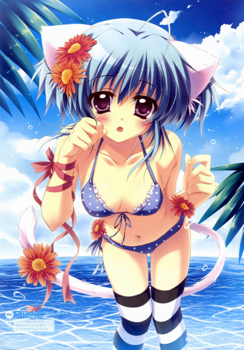 Artist - Izumi Tsubasu cover