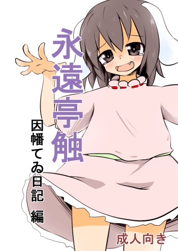 ﾀﾀﾞ同人第4弾完成!!　「永遠亭触　因幡てゐ日記　編」 cover