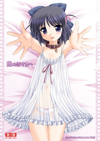 Hikari no Sasu Kata e cover