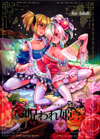Korizuni Josou Shounen Hon 4 Cursed Prince  =SW= cover