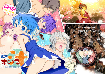 Touhou Kinoko-jiru ~ Cirno no Kosodate Funtouki!? ~ cover