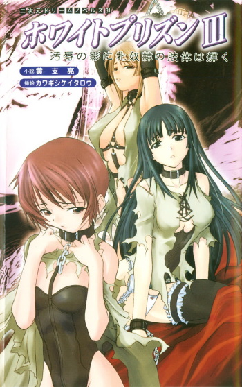 White Prison III - Ojoku no Kage ni Mesu Dorei no Shitai wa Kagayaku cover