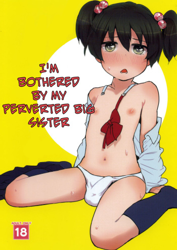 Boku no Neechan ga Hentai de Komaru.  =SW= cover