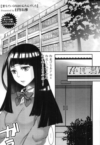 Ochiteiku no wa Kantan Deshita cover