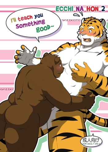 Ecchi Na Hon - 2 cover